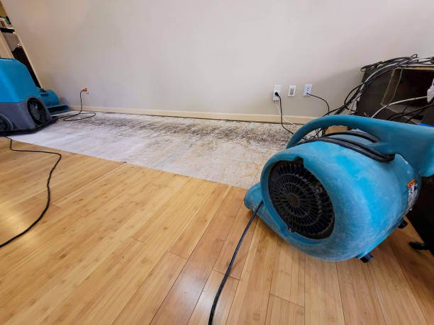 Professional Structural Drying technician working in Ellensburg, WA